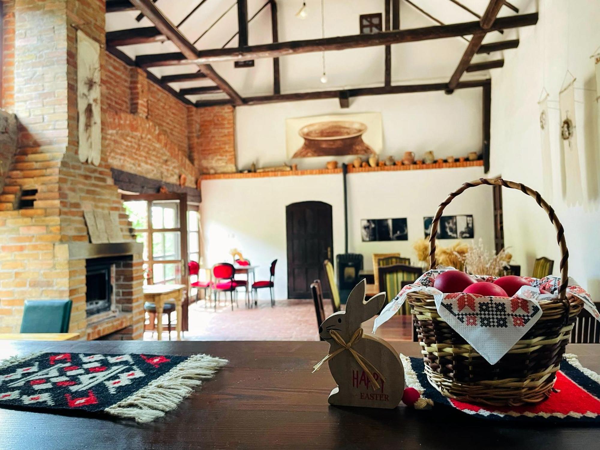 ホテル Casa Thea Cheile Nerei Sokolar エクステリア 写真