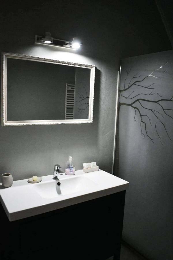 ホテル Casa Thea Cheile Nerei Sokolar エクステリア 写真